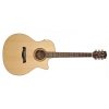 Richwood SWG-130-CE Songwriter O
